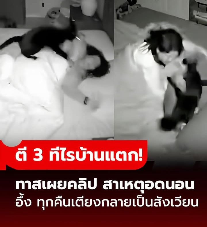 สาวตาโหล เผยสาเหตุนอนไม่พอ คลิปวงจรปิดทำอึ้ง! ตี 3 ทีไร เตียงจะกลายเป็น “สังเวียน”