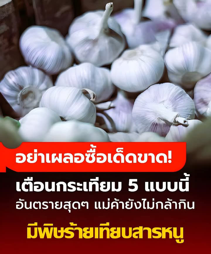 เตือนแล้วนะ กระเทียม 5 แบบ “ไม่ควรซื้อ” สุดอันตราย แม้แต่คนขายก็ยังไม่กล้ากิน!