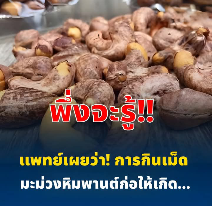 แพทย์เผยว่า! 🥜การรับประทานเม็ดมะม่วงหิมพานต์ อาจก่อให้เกิดผลลัพธ์บางอย่างกับร่างกายที่หลายคนยังไม่รู้…ดูเพิ่มเติม…