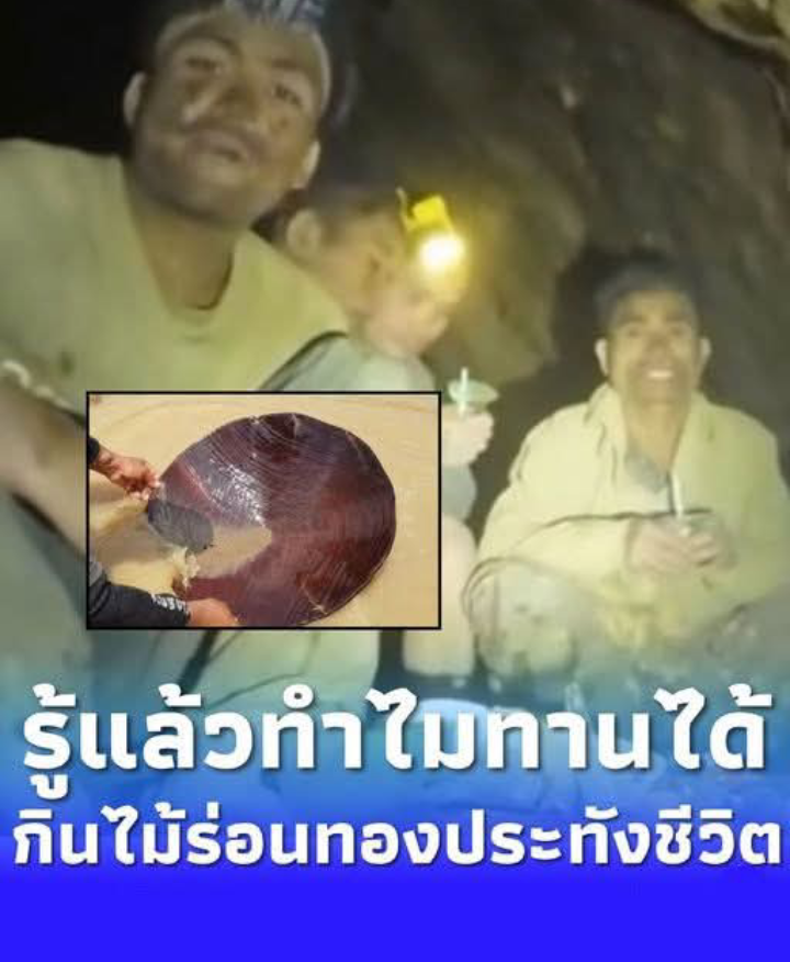 รู้แล้วตกใจ 5 คนลาวติดถ้ำ กินไม้ร่อนทองประทังชีวิต เผยสาเหตุทานได้