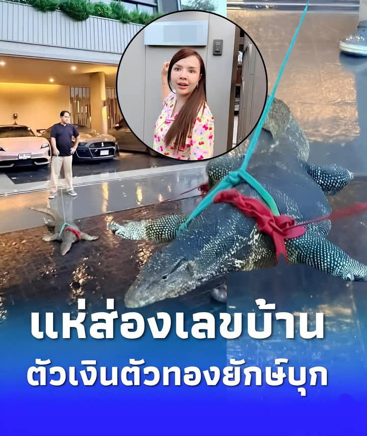 แห่ส่องเลขบ้าน “เจนนี่ – ยิว”หลังตัวเงินตัวทองยักษ์บุก