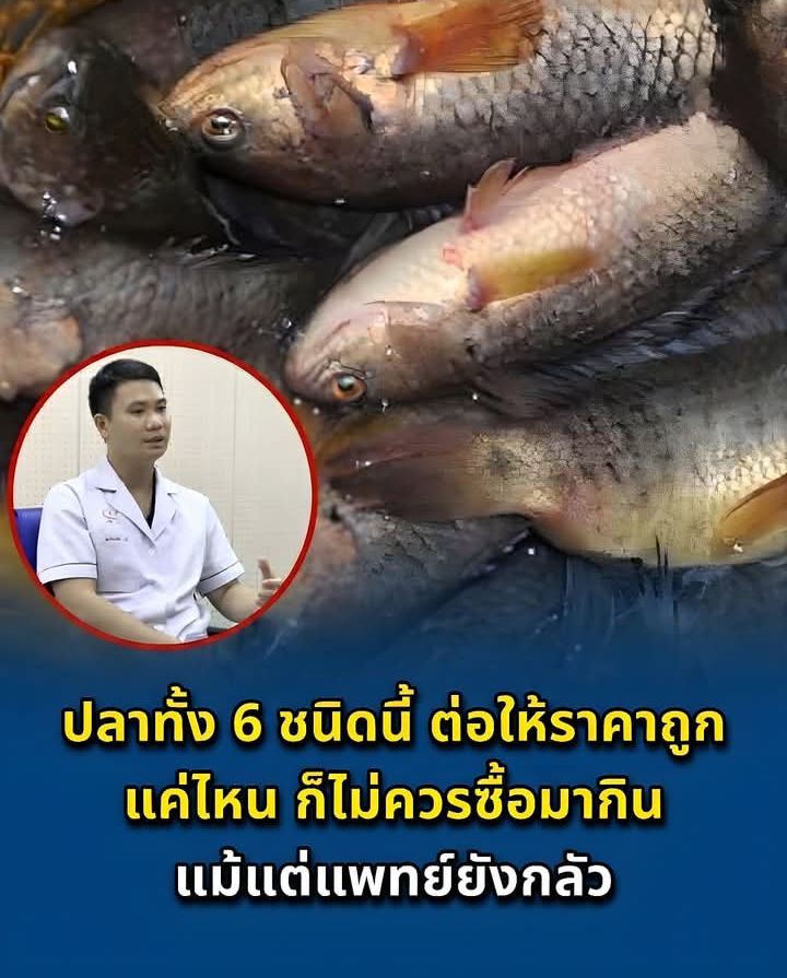 ปลาทั้ง 6 ชนิดนี้ ต่อให้ราคาถูกแค่ไหน ก็ไม่ควรซื้อมากิน แม้แต่แพทย์ยังกลัว