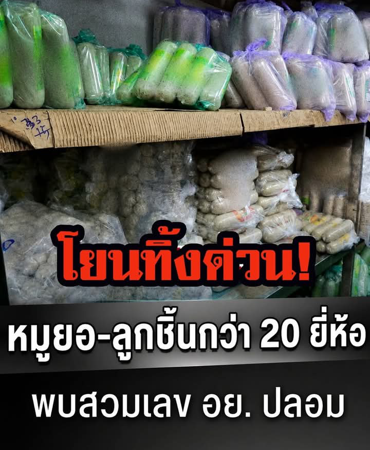 โยนทิ้งด่วน! ทลายโรงงานหมูยอ-ลูกชิ้นกว่า 20 ยี่ห้อ พบสวมเลข อย. ปลอม