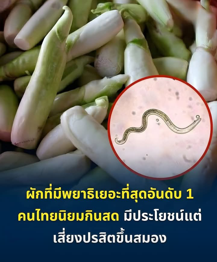 ผักที่มีพยาธิเยอะที่สุดอันดับ 1 คนไทยนิยมกินสด มีประโยชน์แต่เสี่ยงปรสิต