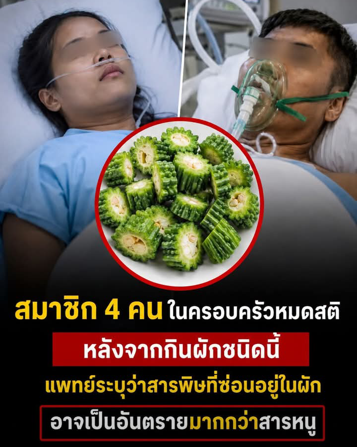 แพทย์เตือน! “ผักรสขม” ชนิดนี้ หากกินไม่ถูกวิธี อาจเป็นพิษรุนแรง กว่าสารหนู