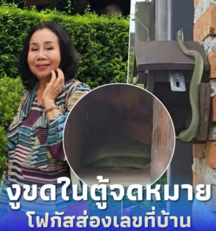“ยายหนิง” คุณแม่ชมพู่ อารยา เจองูขดใน ตู้จดหมาย แห่โฟกัสเลขที่บ้าน