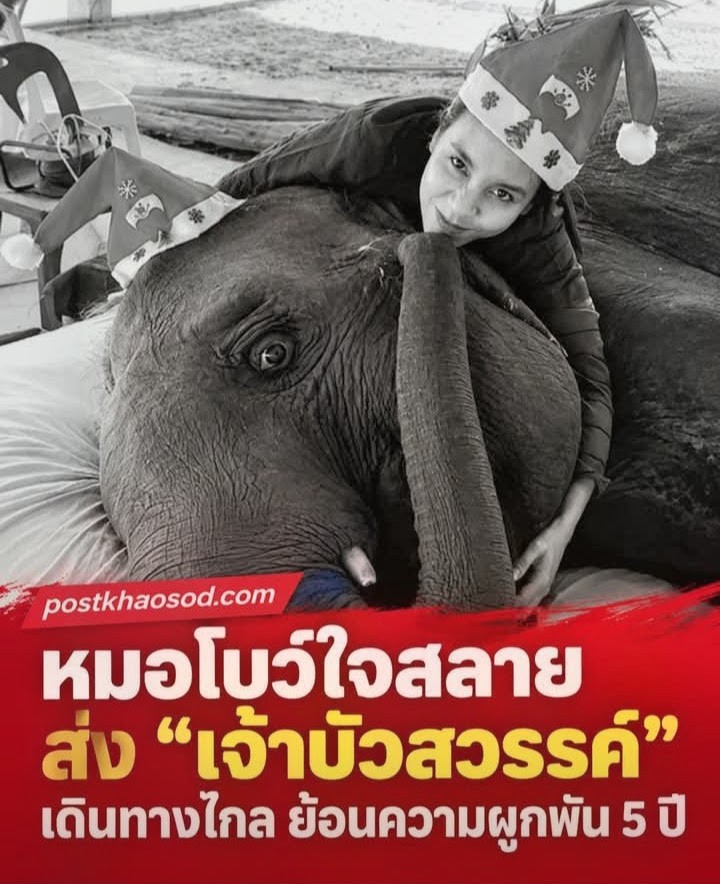หมอโบว์ใจสลาย ส่ง “เจ้าบัว” เดินทางไกล ย้อนความ ผูกพัน 5 ปี
