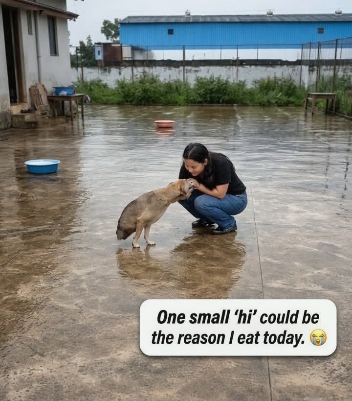 Two-Legged Dog Thrives and Inspires Over Time